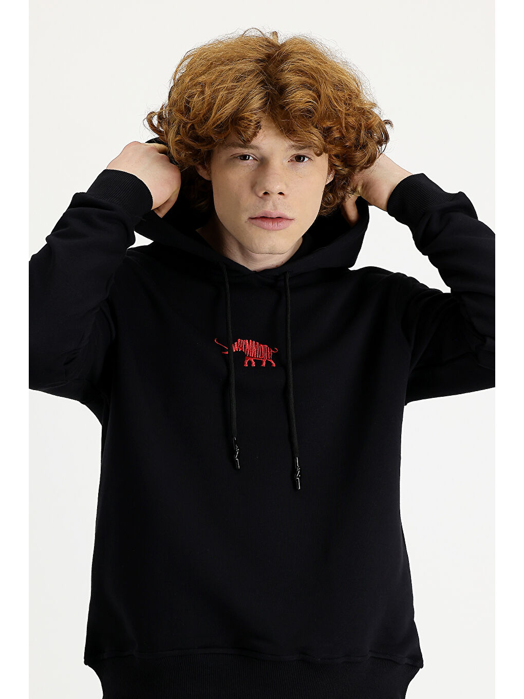 Siyah Kapüşonlu Nakışlı Pamuklu Sweatshirt-1