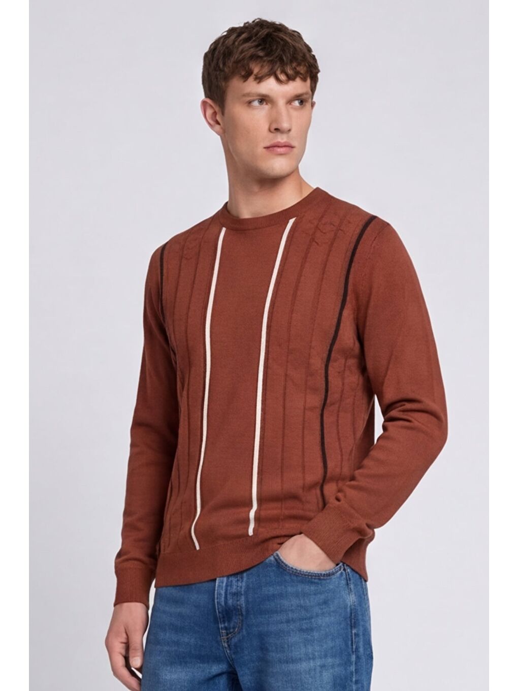 Kahverengi Erkek Kiremit Normal Kesim Regular Fit Yünlü Dokuma Çizgi Desen Bisiklet Yaka Triko Kazak-2