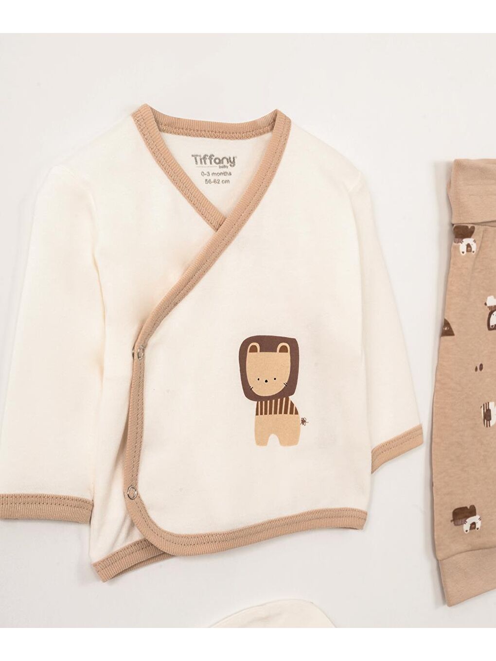 Karışık Aslan Patiksiz Üçlü Set-1