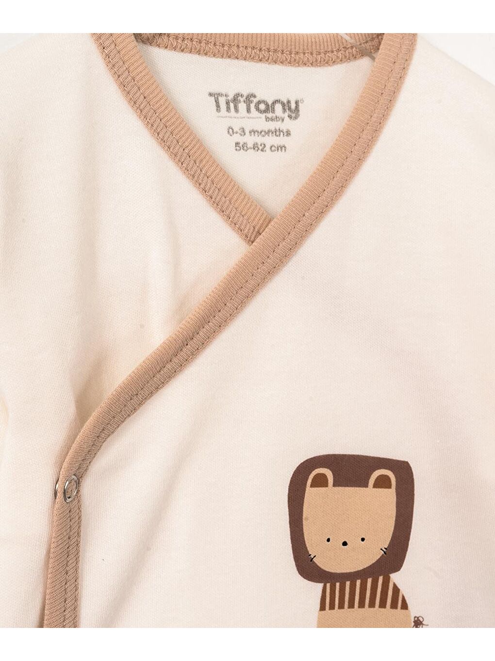 Karışık Aslan Patiksiz Üçlü Set-2