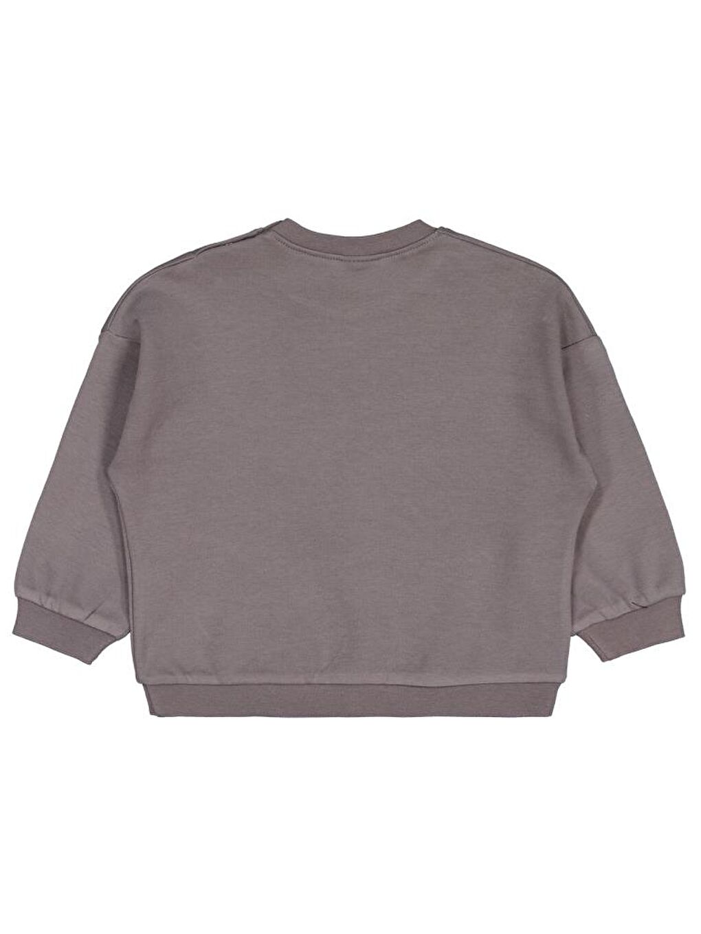 Baby Hayvanlar Baskılı 6-18 Ay Sweatshirt - Gri 9-12 Ay-1
