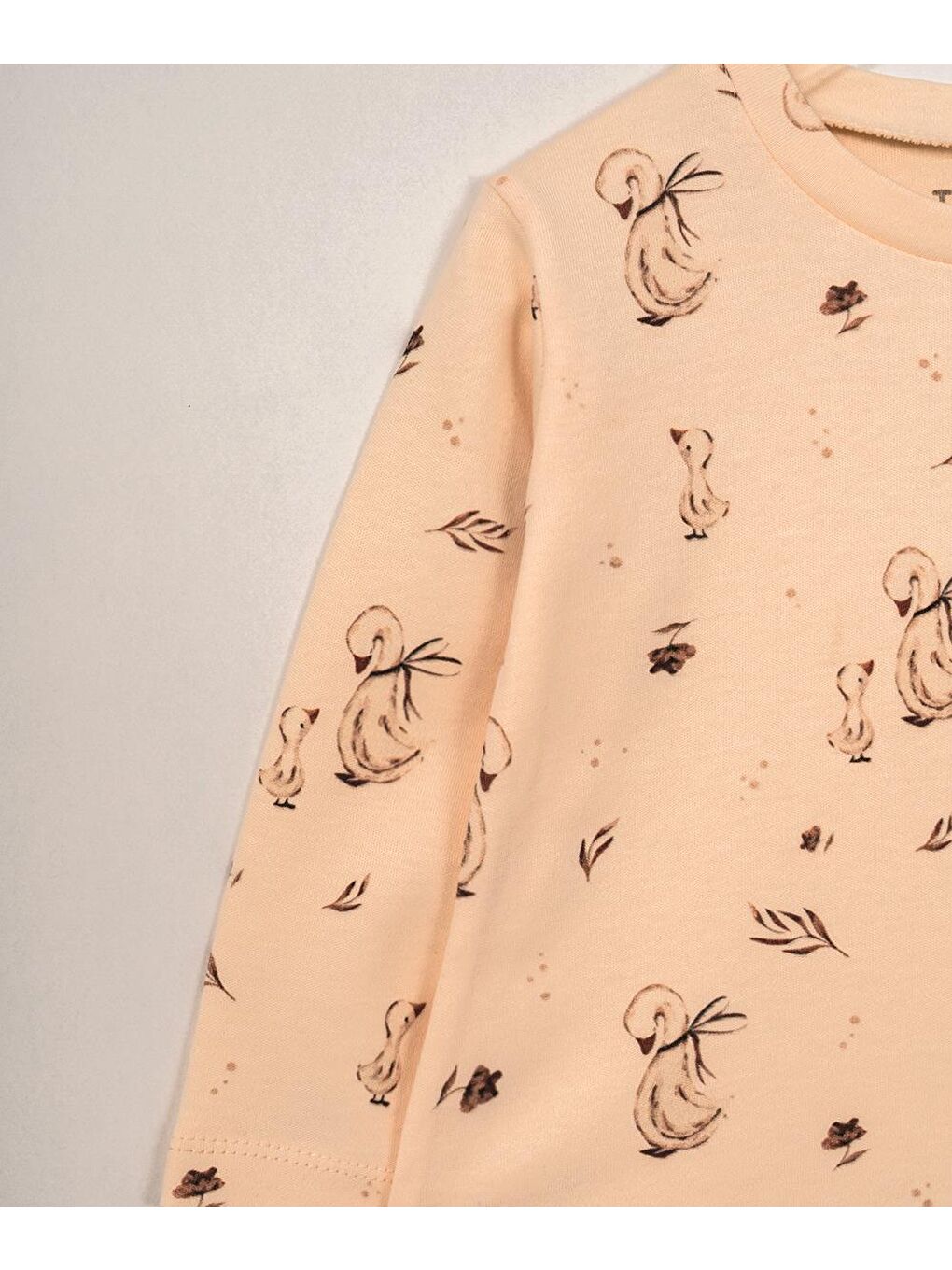 Karışık Mother Swan Organik Tema İkili Takım-1