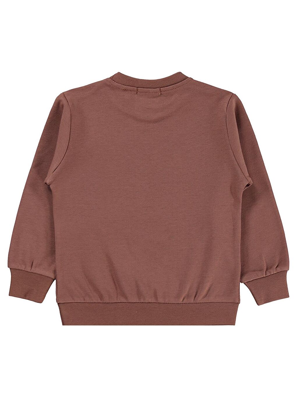 Boys Awesome Aslan Baskılı 2-5 Yaş Sweatshirt Km - Kahverengi 4-5 Yaş-1