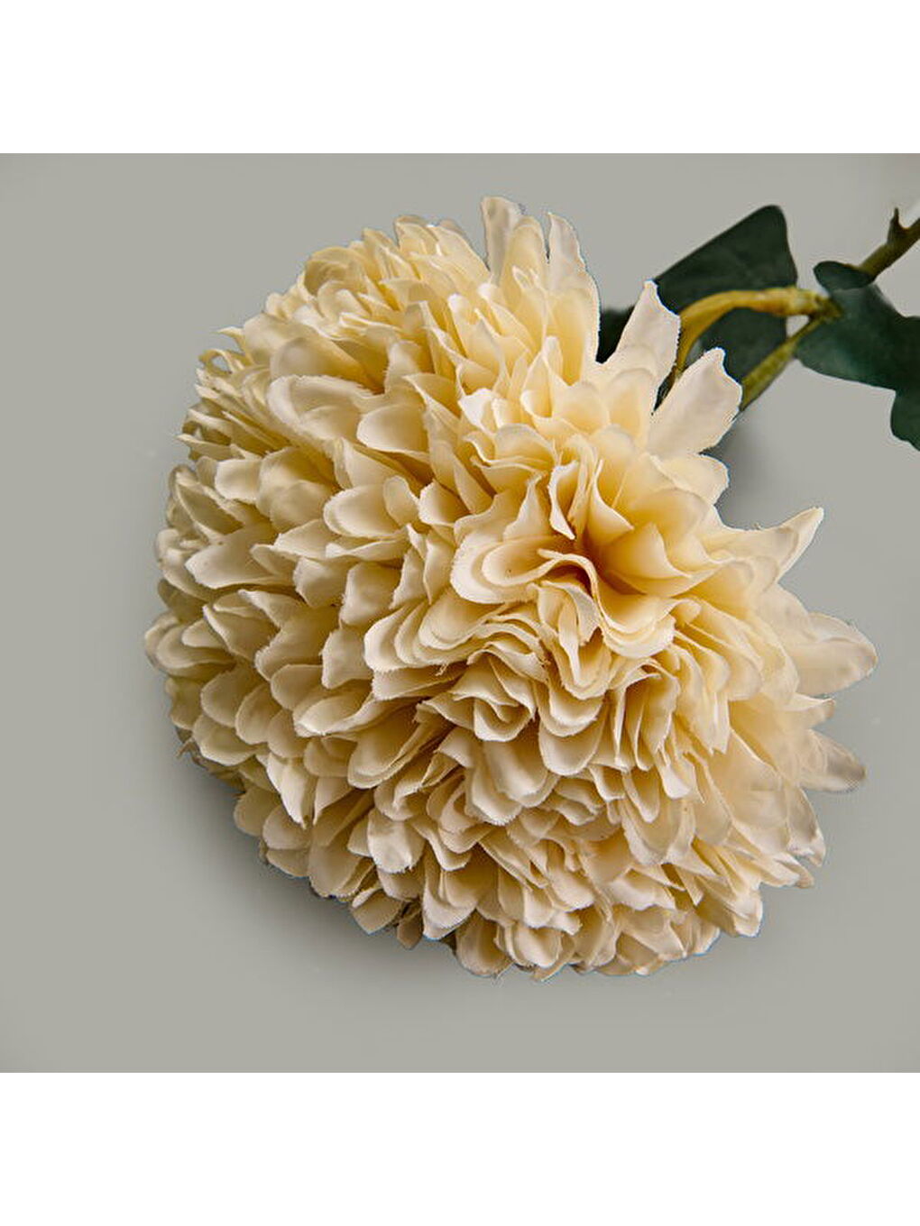 Ekru Deco Top Yıldız Dal Çiçek - Krem - 56,5 cm-2