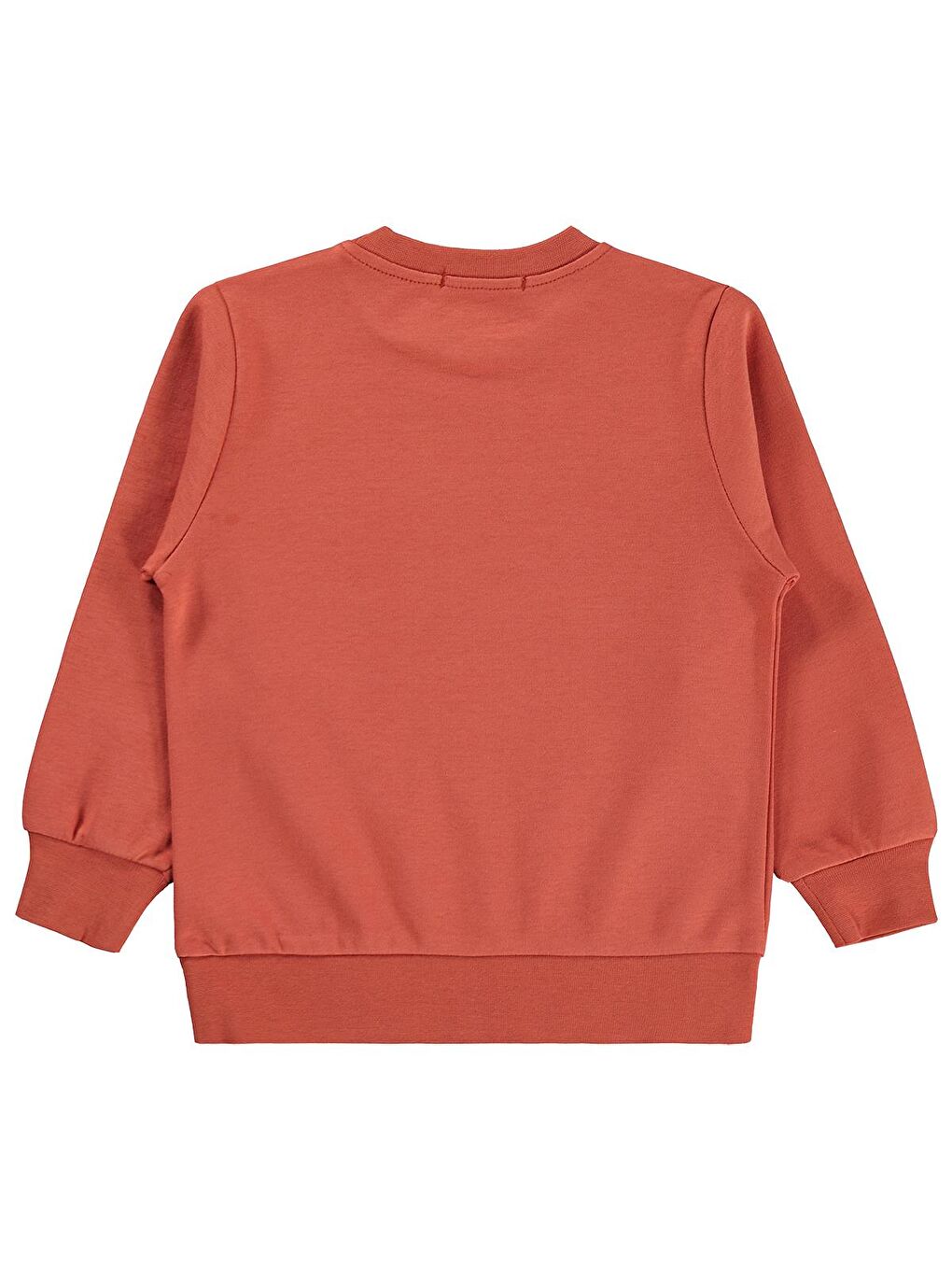 Boys Kaykay Köpek Baskılı 2-5 Yaş Sweatshirt - Turuncu 5-6 Yaş-1