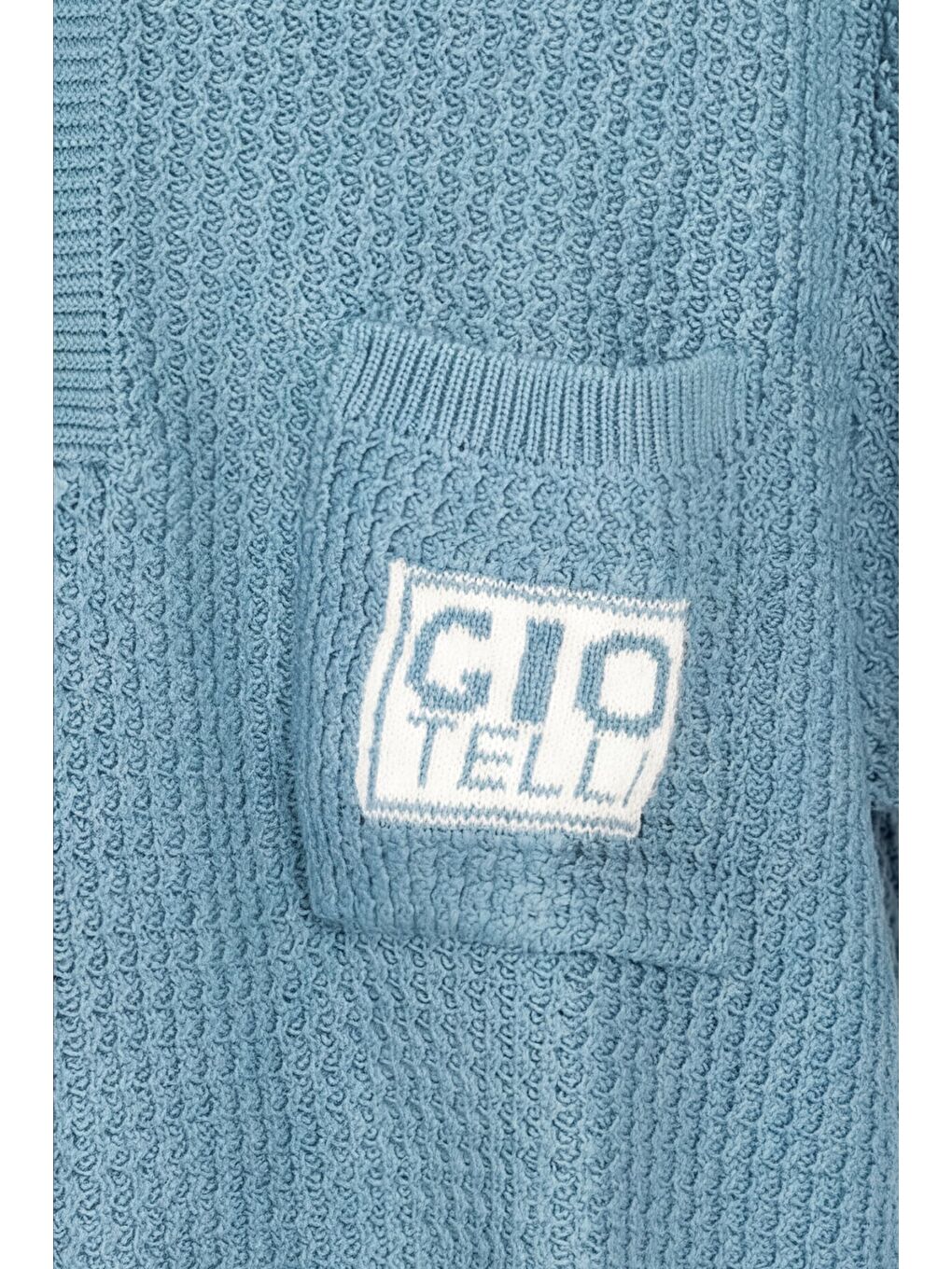 Giotelli Erkek Mavi Normal Kesim Regular Fit %100 Pamuk Düğmeli Polo Yaka Triko Kazak-4