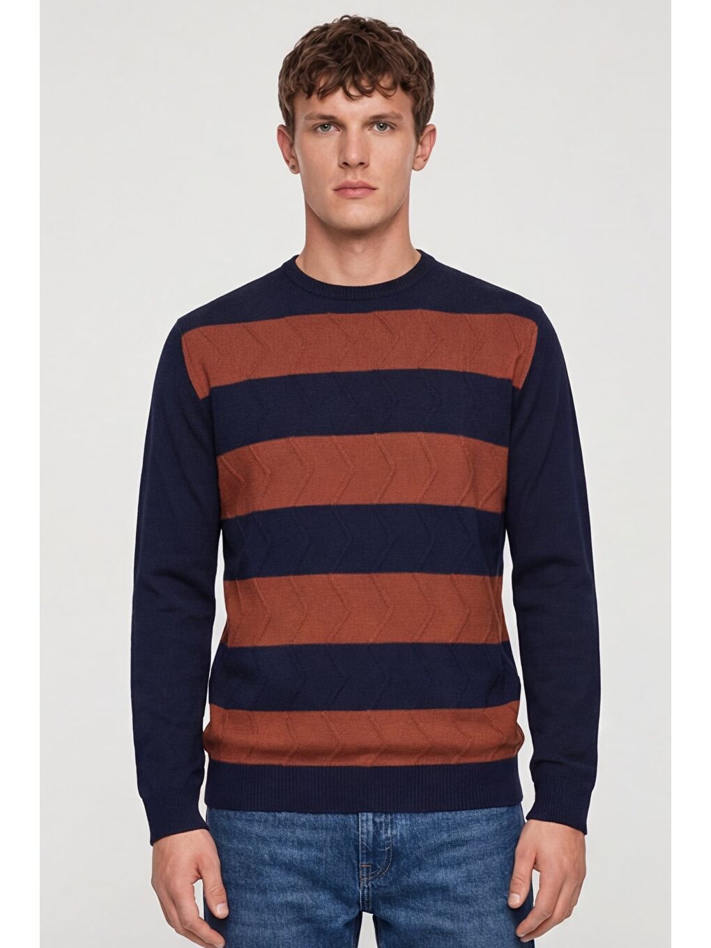 Erkek Lacivert Normal Kesim Regular Fit Yünlü Bisiklet Yaka Minimal Triko Kazak