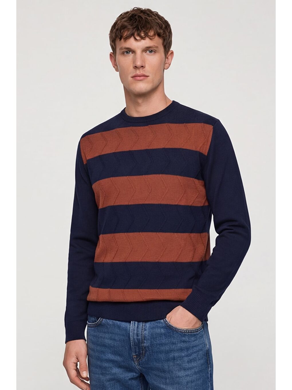 Erkek Lacivert Normal Kesim Regular Fit Yünlü Bisiklet Yaka Minimal Triko Kazak-2