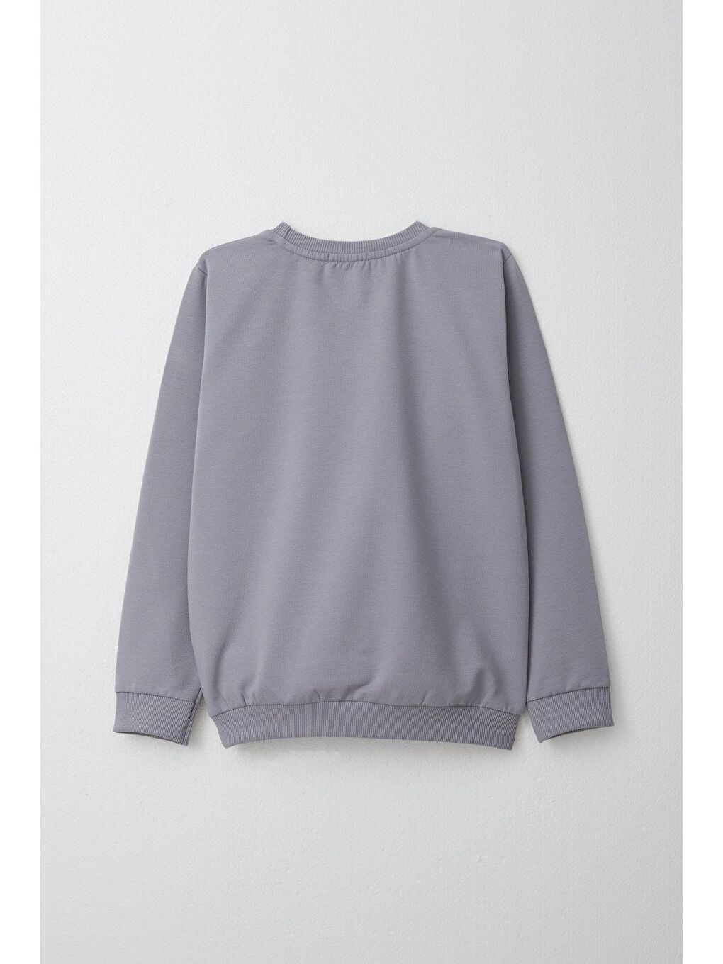 Erkek Çocuk Eşofman Takım Slogan Temalı Yazı Baskılı Gri (4 Yaş)-7