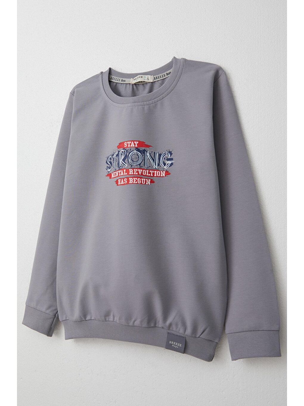 Erkek Çocuk Eşofman Takım Slogan Temalı Yazı Baskılı Gri (4 Yaş)-9