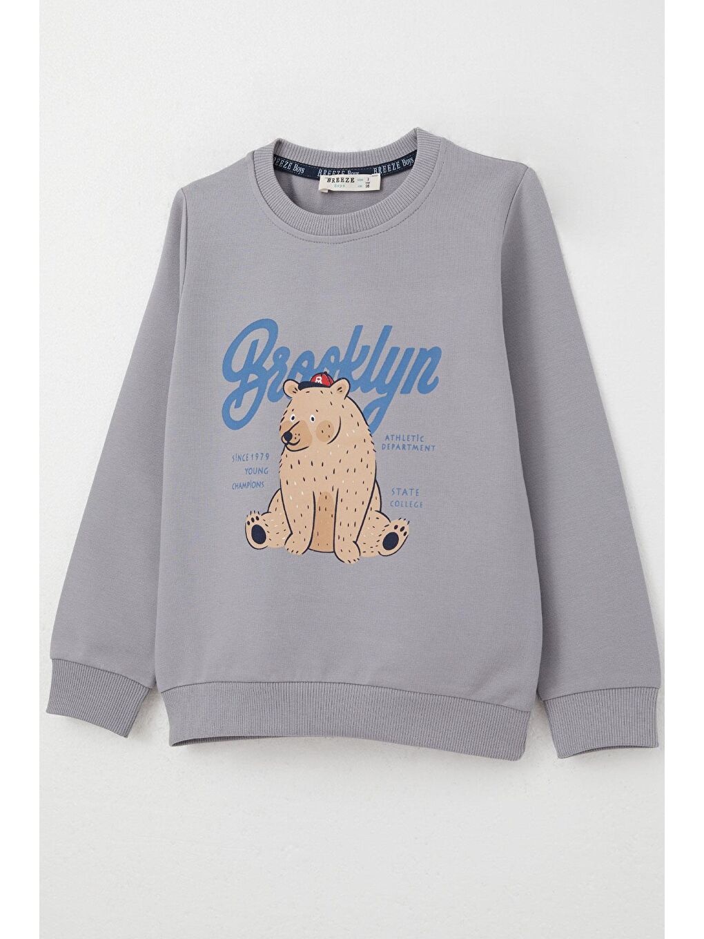 Erkek Çocuk Eşofman Takım Kolej Şampiyonu Sevimli Ayıcık Baskılı Gri (2-5 Yaş)-5