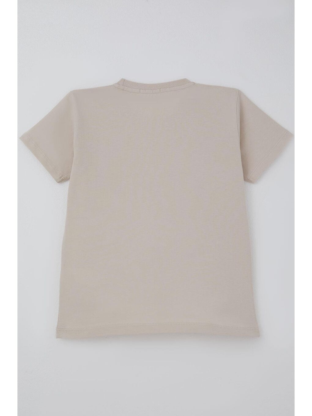 Bej Erkek Çocuk Tişört Basic Taş (4-8 Yaş)-1