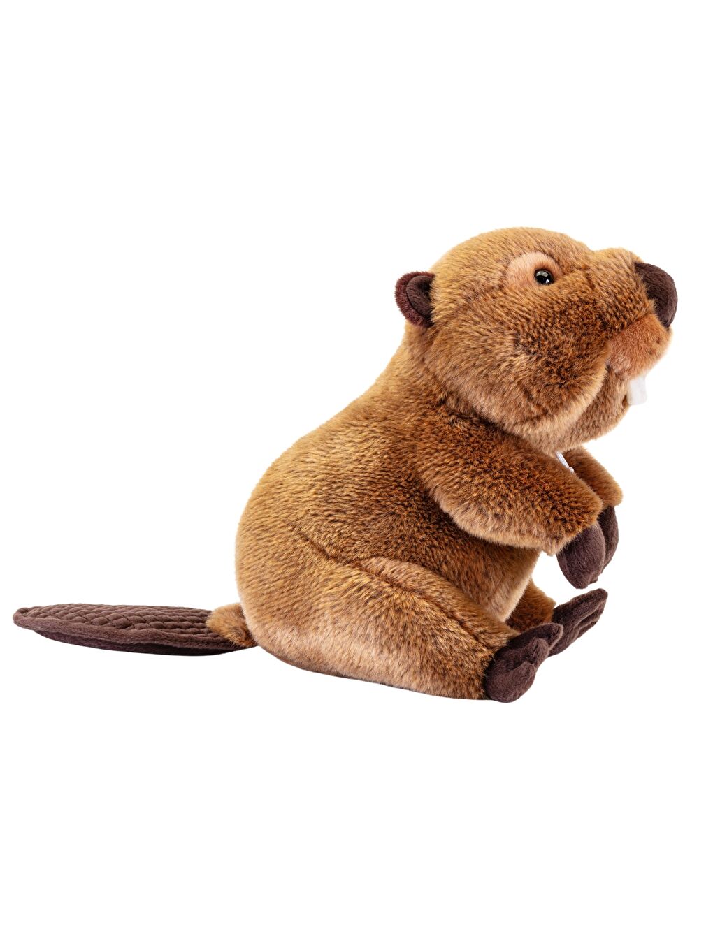 Beaver Joseph 24464-1