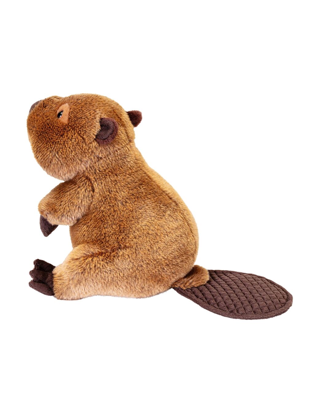 Beaver Joseph 24464-2