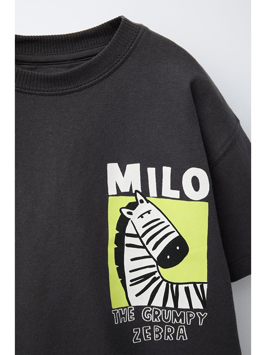 Erkek Çocuk Pamuklu Siyah Zebra Baskılı T-Shirt Ve Şort Takım - Eğlenceli Yazlık-2