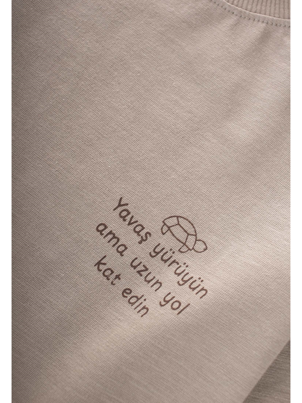 Bej Sloganlı Uzun Kollu T-Shirt 2-10 Yaş S Vizon-2