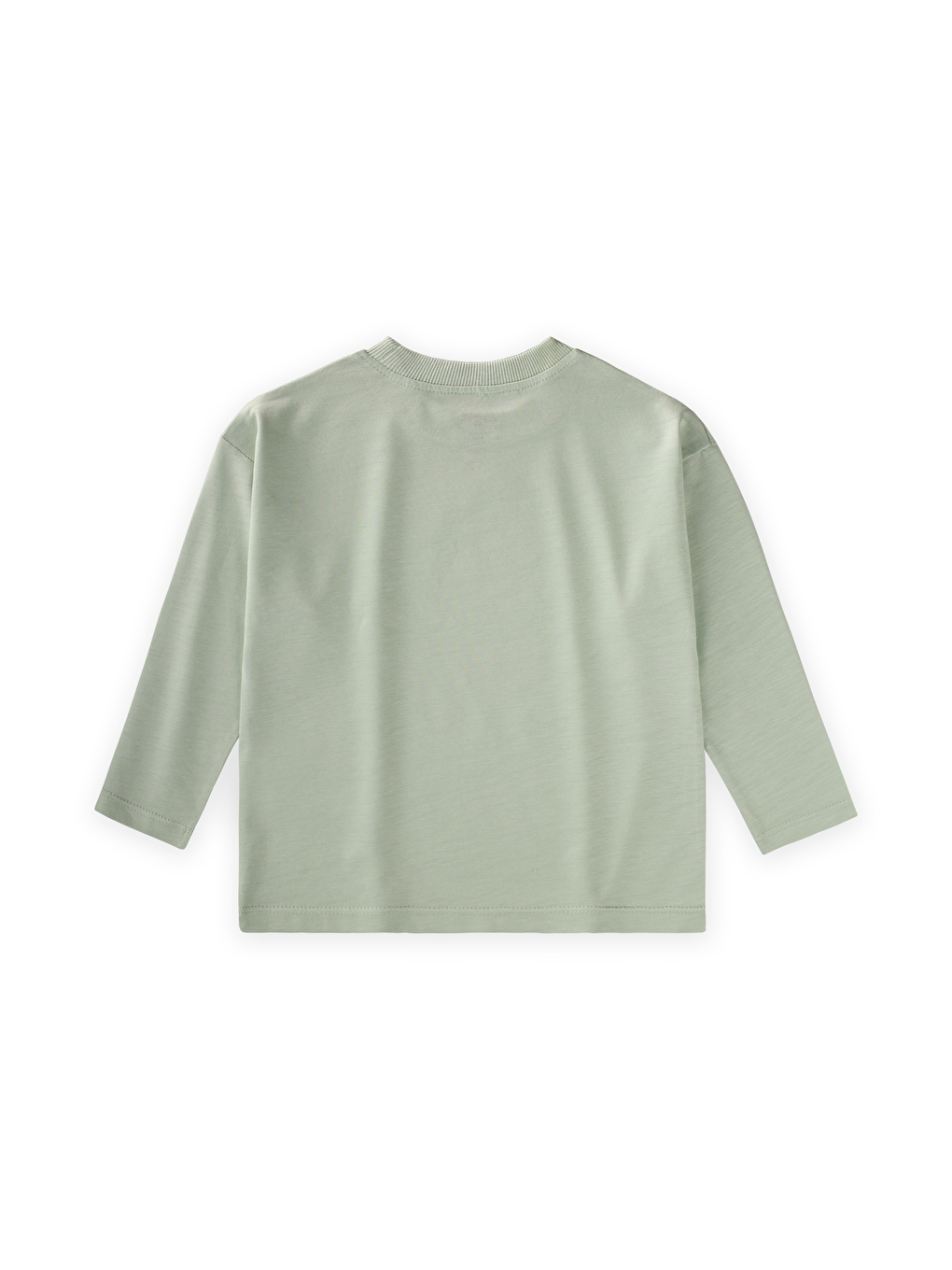 Turkuaz Sloganlı Uzun Kollu T-Shirt 2-10 Yaş Su Yeşili-1