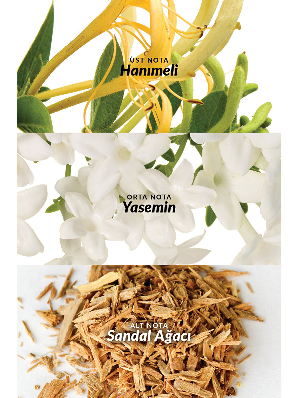 Little Black Dress Kadın Parfüm Rollon Paketi-3