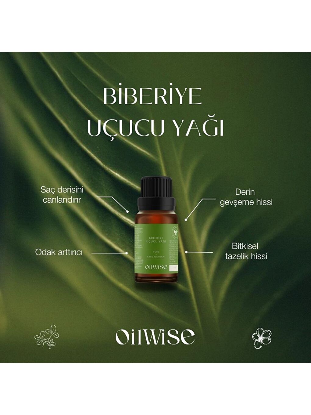 Akne ve Kepek Karşıtı Biberiye Uçucu Yağı 10 ml