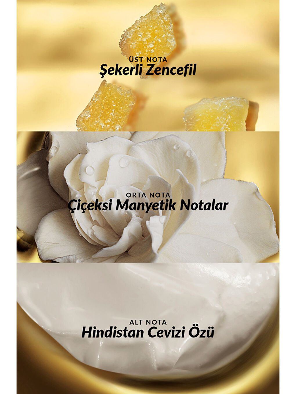 Attraction Intense Kadın Parfüm ve Attraction Vücut Losyonu Paketi-2