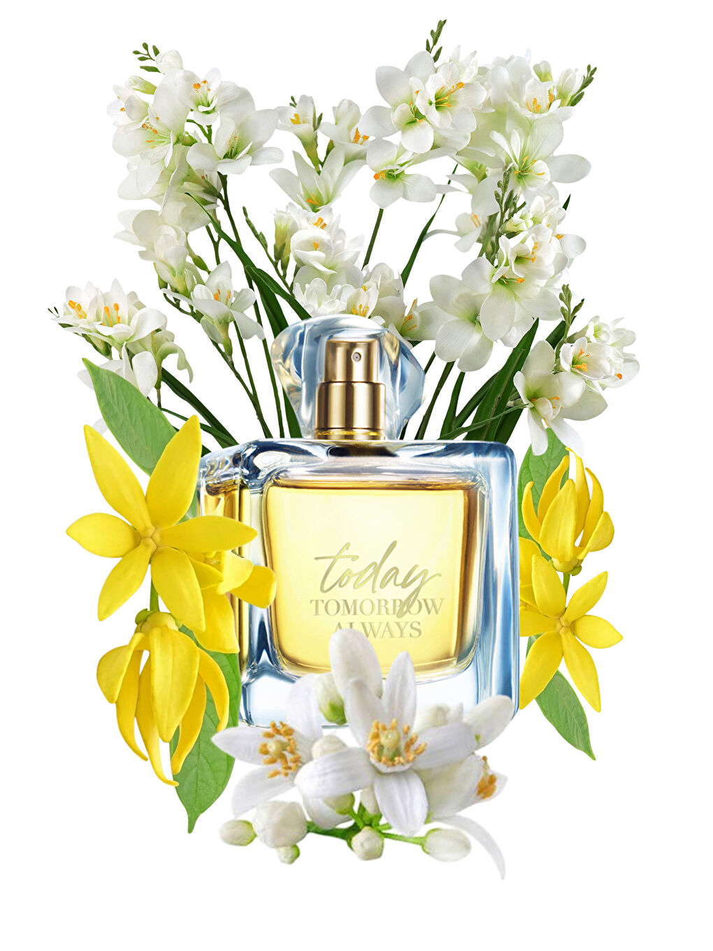 TTA Today Kadın Parfüm ve Vücut Losyonu Paketi-2