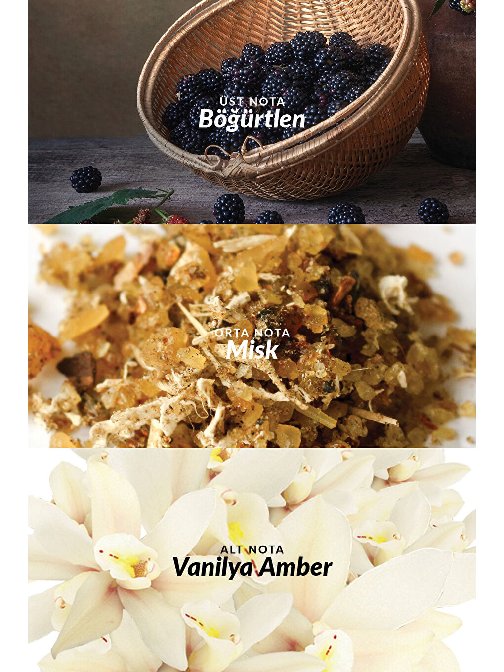 Attraction Intense Kadın Parfüm ve Attraction Vücut Losyonu Paketi-4