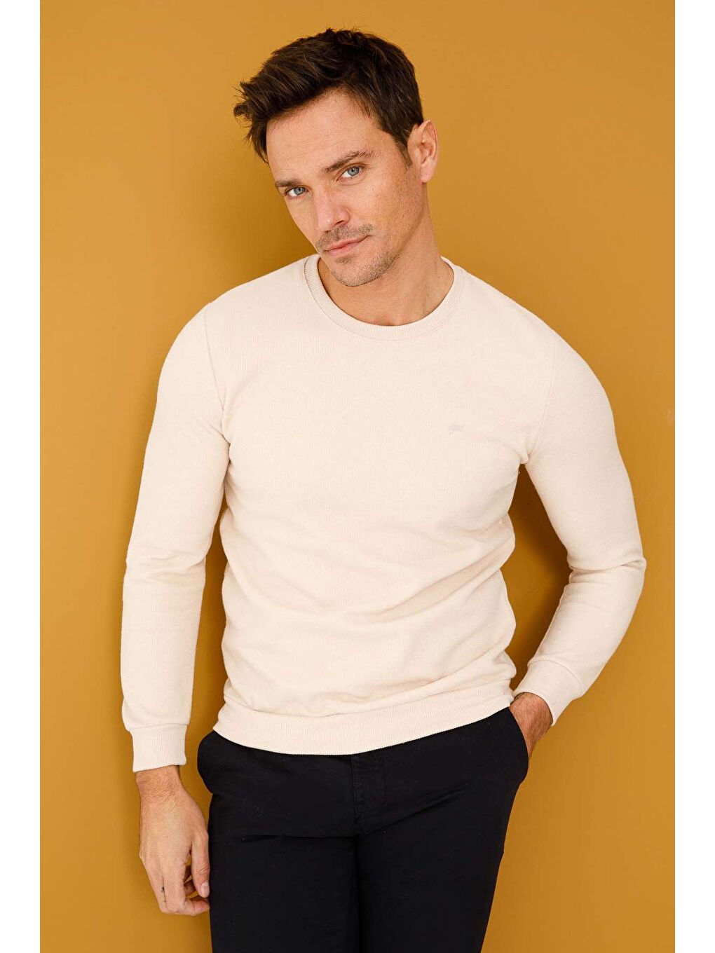 Bej Rahat Kalıp Bisiklet Yaka Düz Uzun Kollu Triko-6