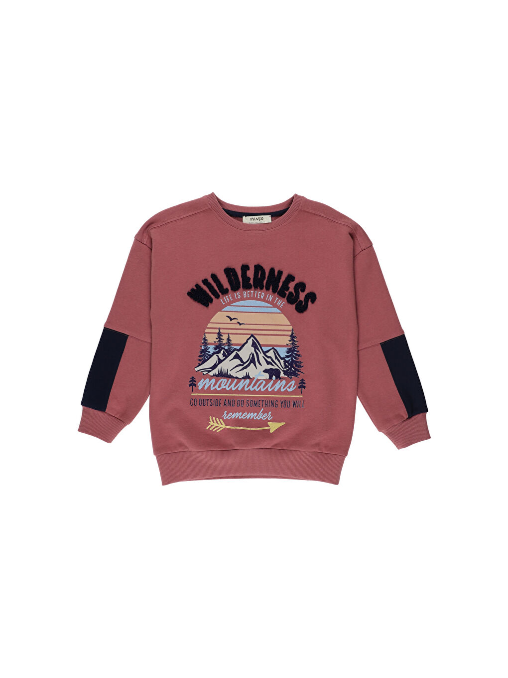 Pembe Erkek Çocuk Baskılı Sweatshirt-2