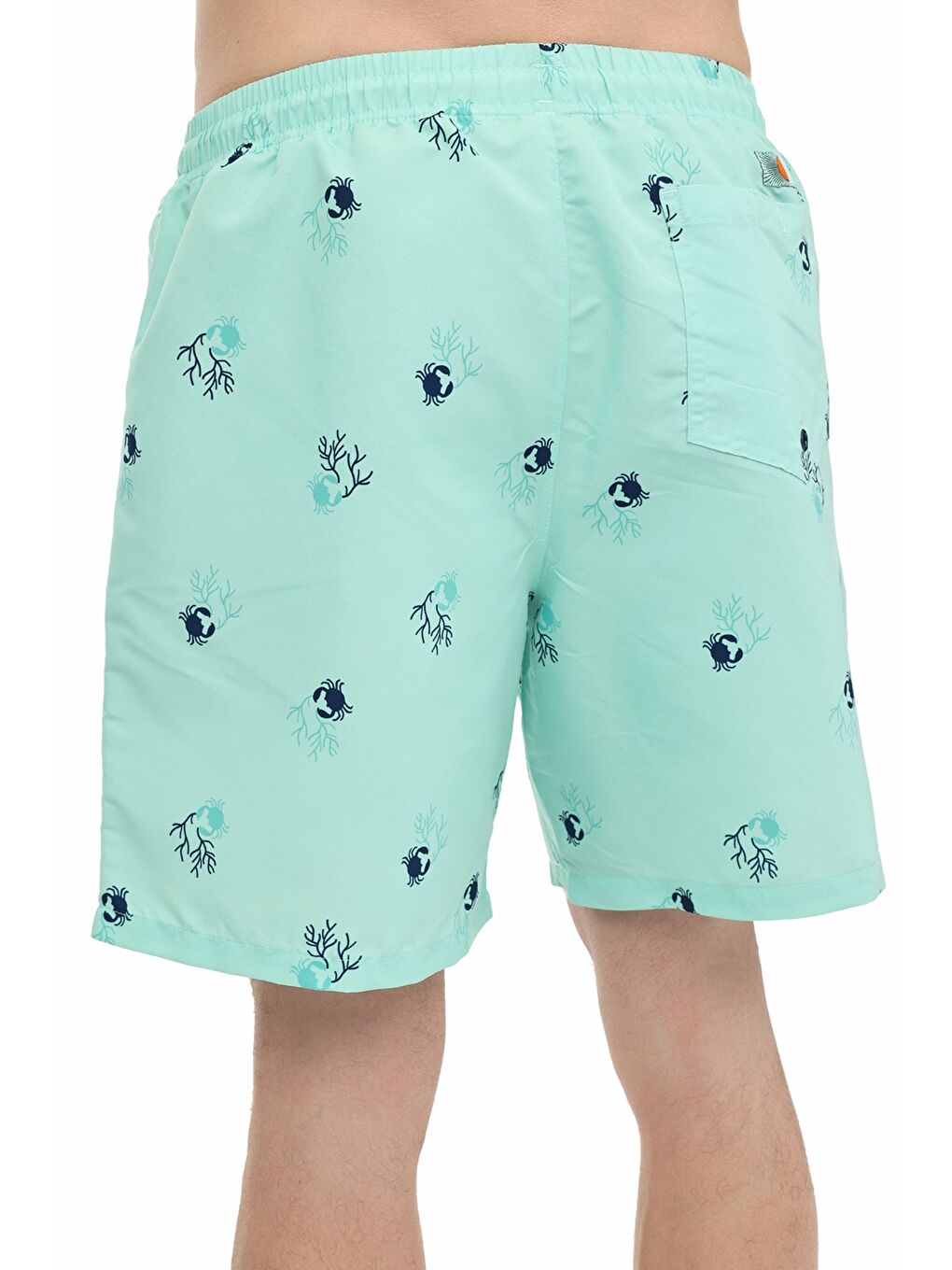 ML VISTORA 19HL-219 Yeşil Erkek Deniz Şortu-1