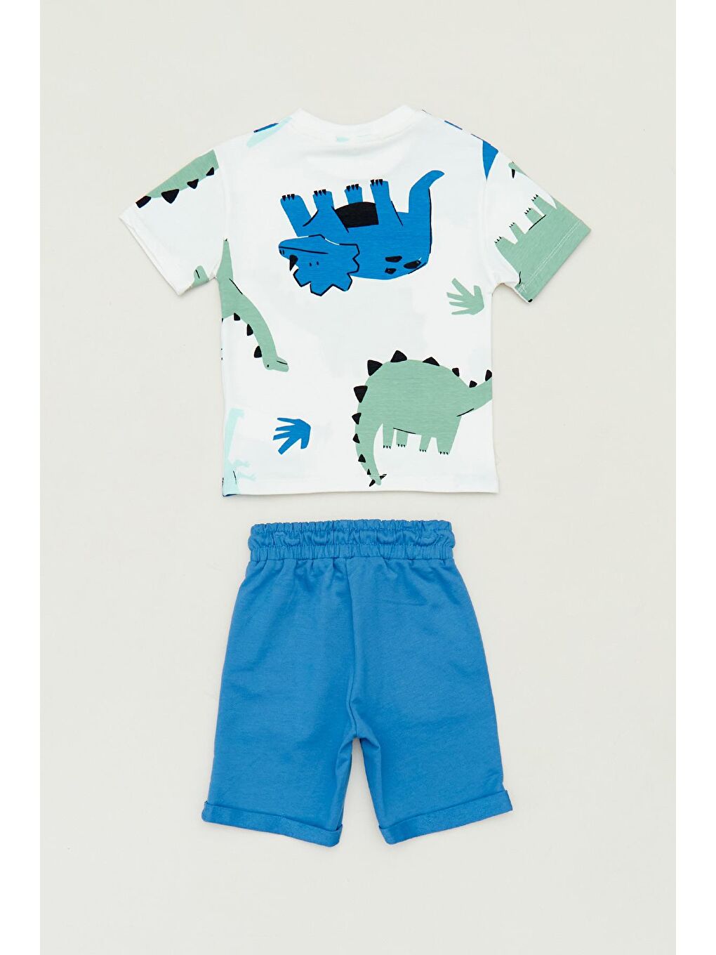 Mavi Dinozor Baskılı Erkek Çocuk Takım-1