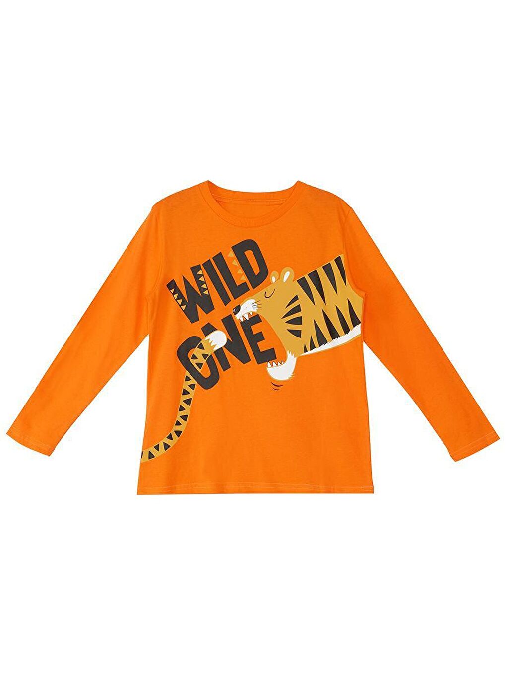 Denokids Turuncu Wild Erkek Çocuk T-shirt Eşofman Altı Takım - 4