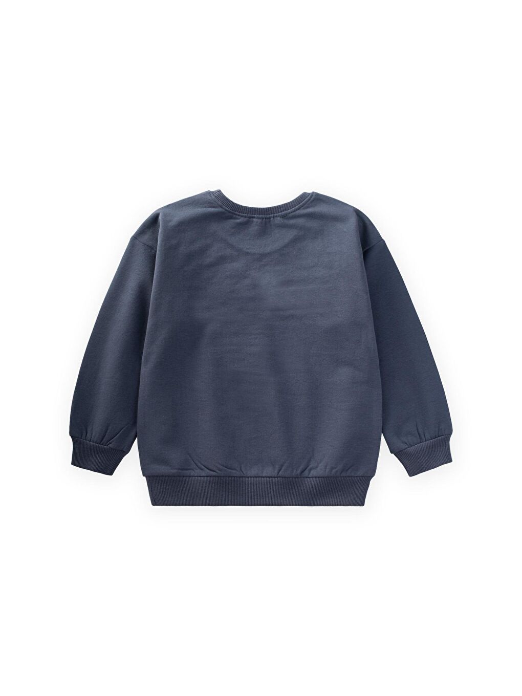 Çiçek Nakışlı Sweatshirt 2-7 Yaş Lacivert-1