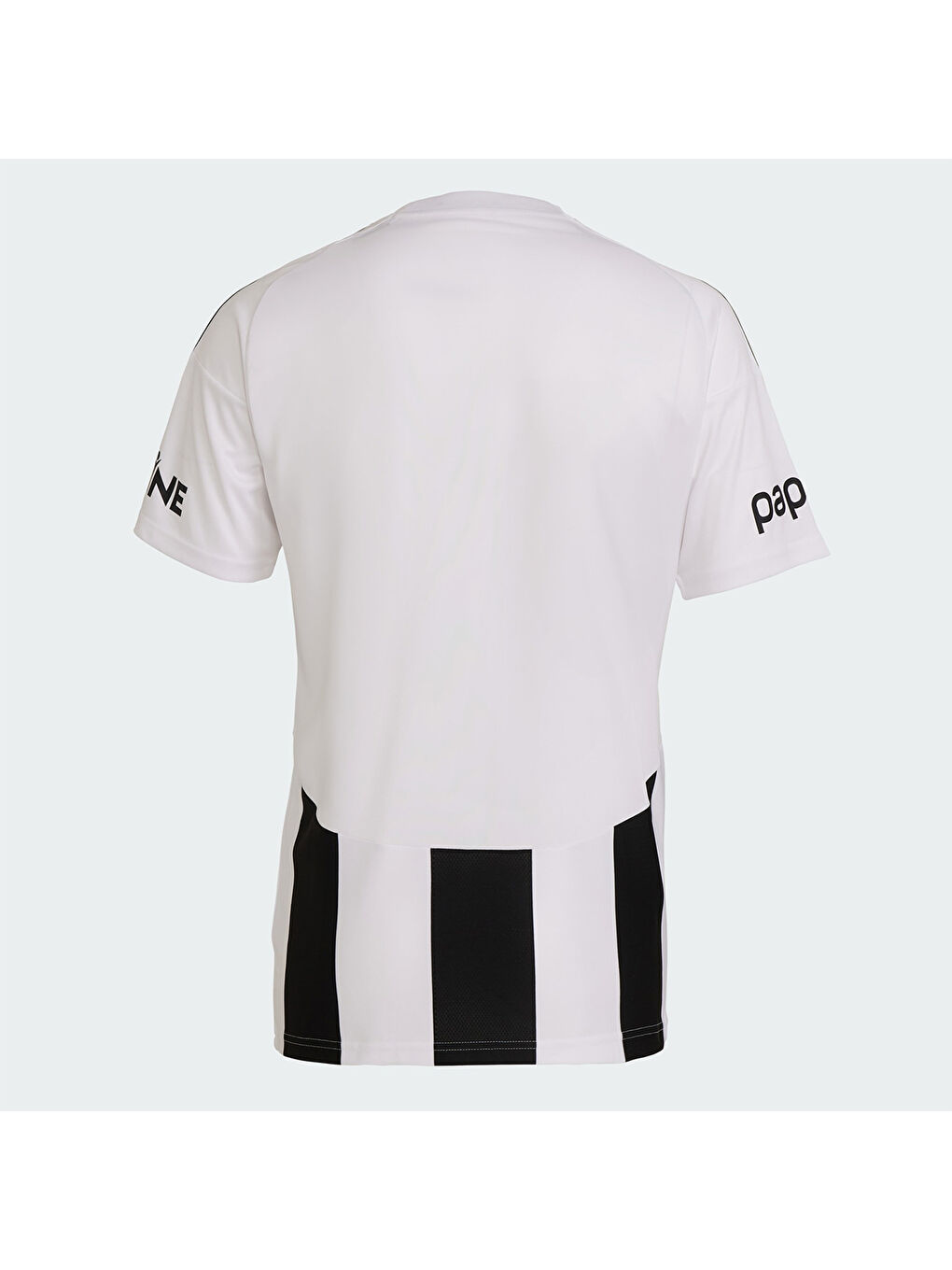 Beşiktaş Striped 24 Erkek Beyaz Yuvarlak Yaka Forma-1