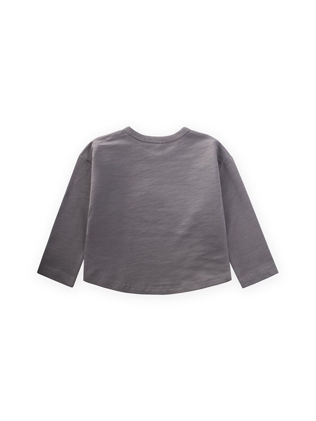 Nakışlı Sweatshirt 1-5 Yaş Gri-1