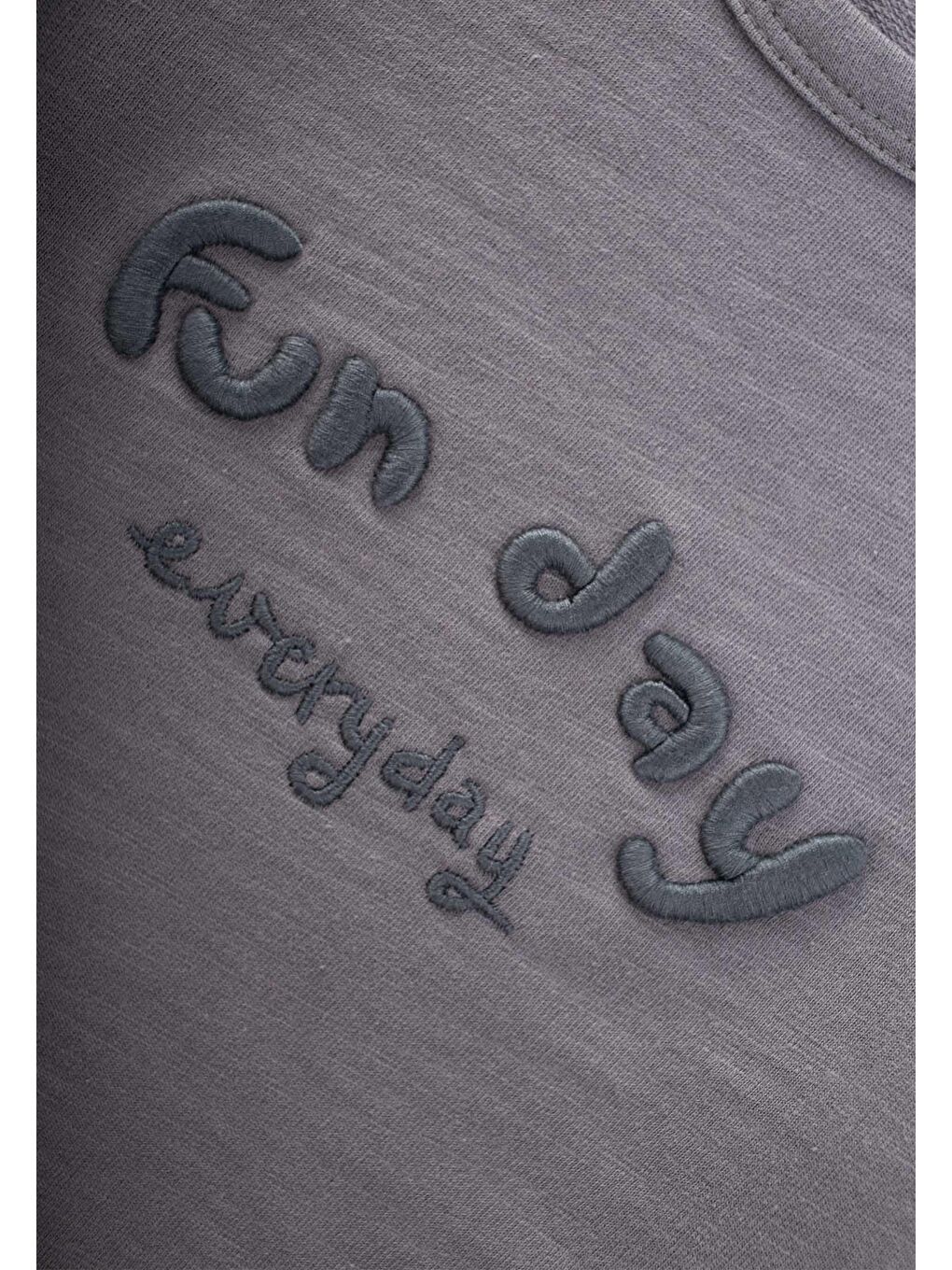 Nakışlı Sweatshirt 1-5 Yaş Gri-2