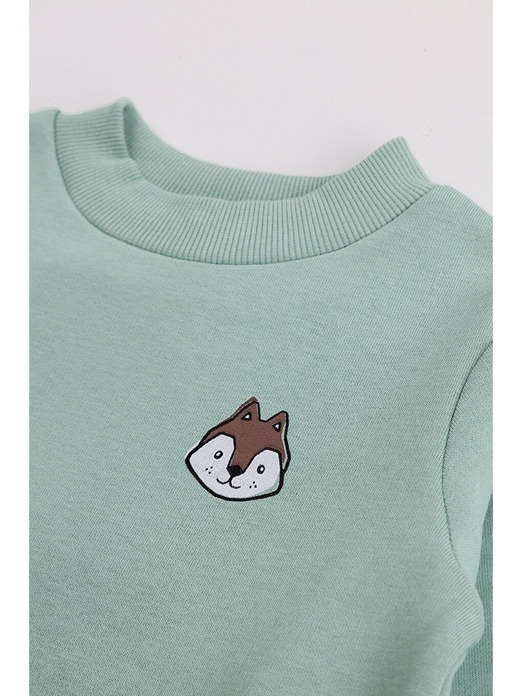 Yeşil Erkek Çocuk 2'li Paket Kalın Arkası Baskılı Sweatshirt-5