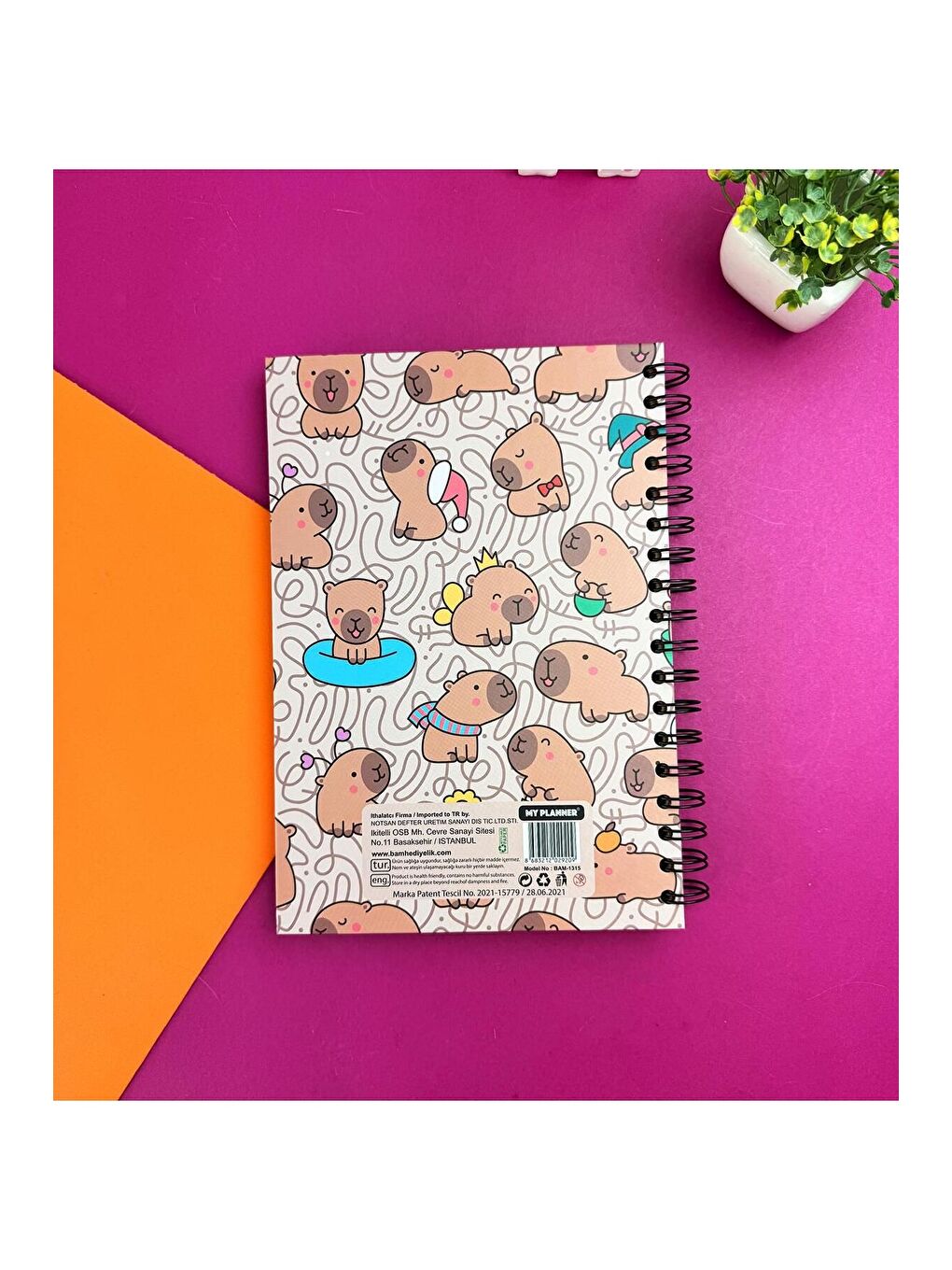 Mood Tasarımlı Konuşan Ajanda-1