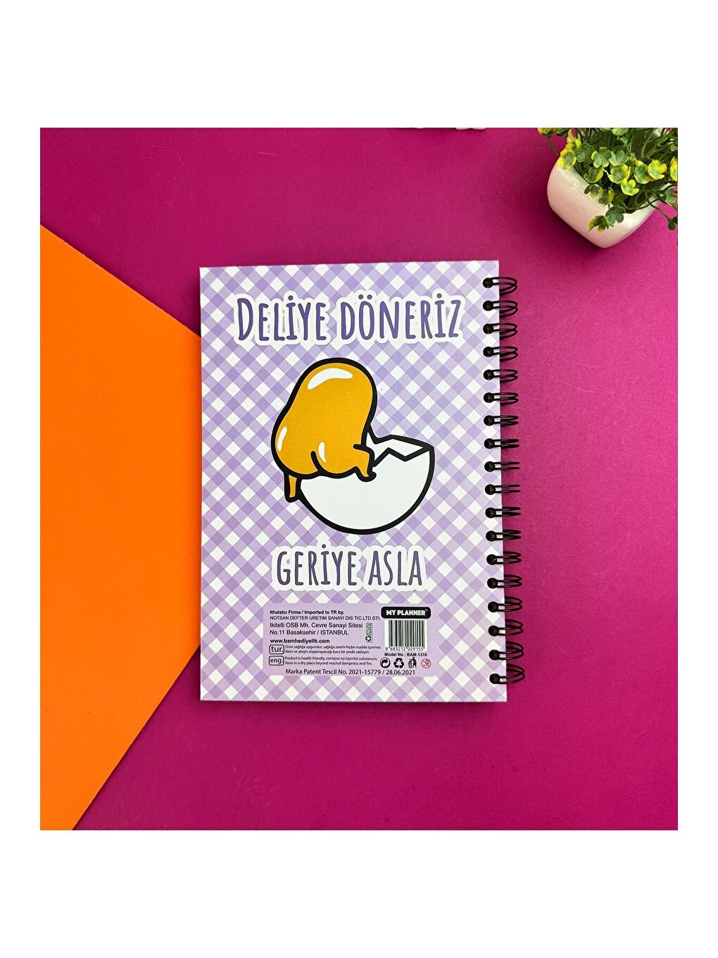 Deliye Döneriz Geriye Asla Tasarımlı Konuşan Ajanda-1