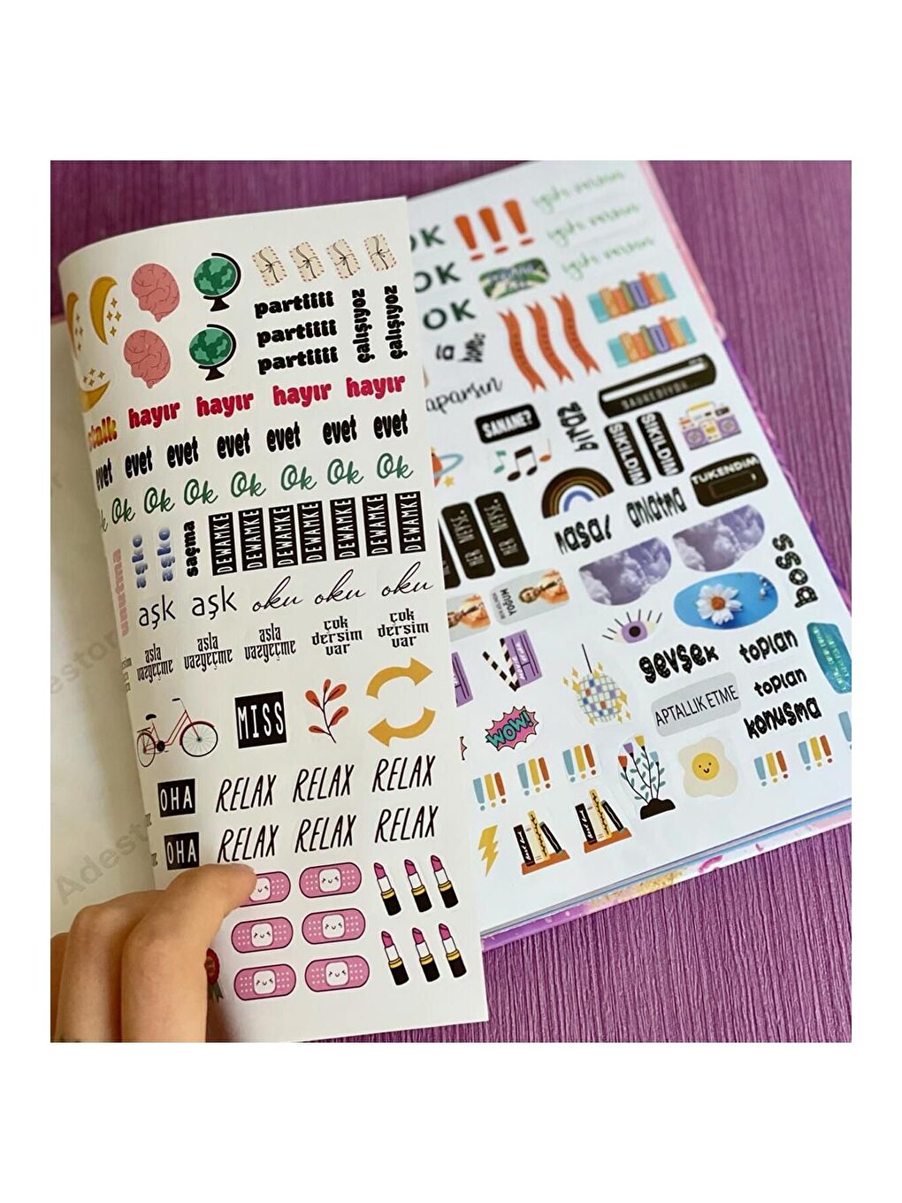 Tatlı Tasarımlı Konuşan Ajanda-3