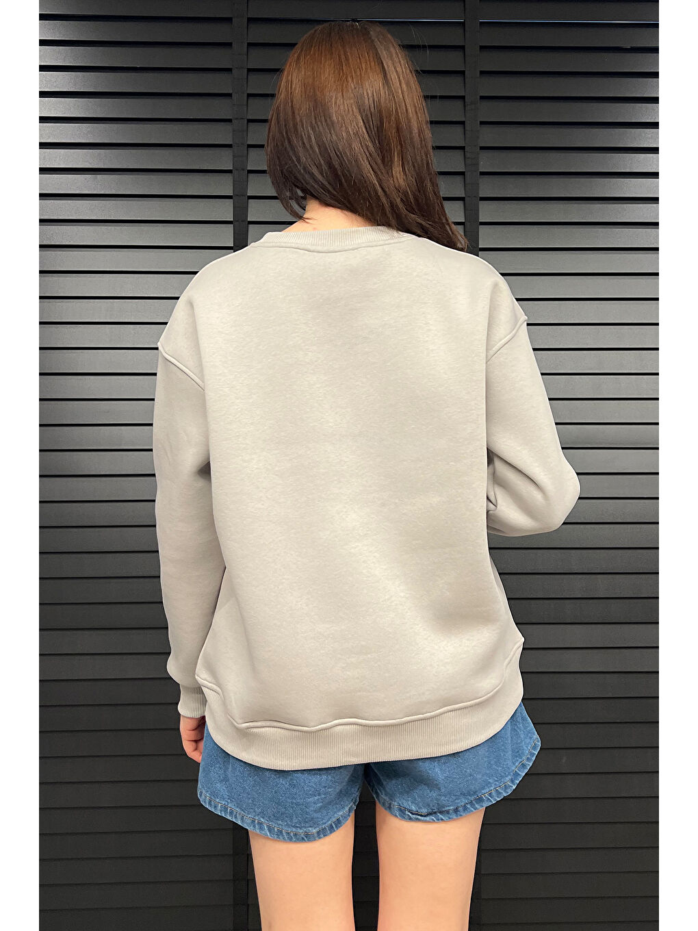 Gri Kadın Bisiklet Yaka Aplikeli Sweatshirt (aplike Ayılar Farklı Gelebilir)-3