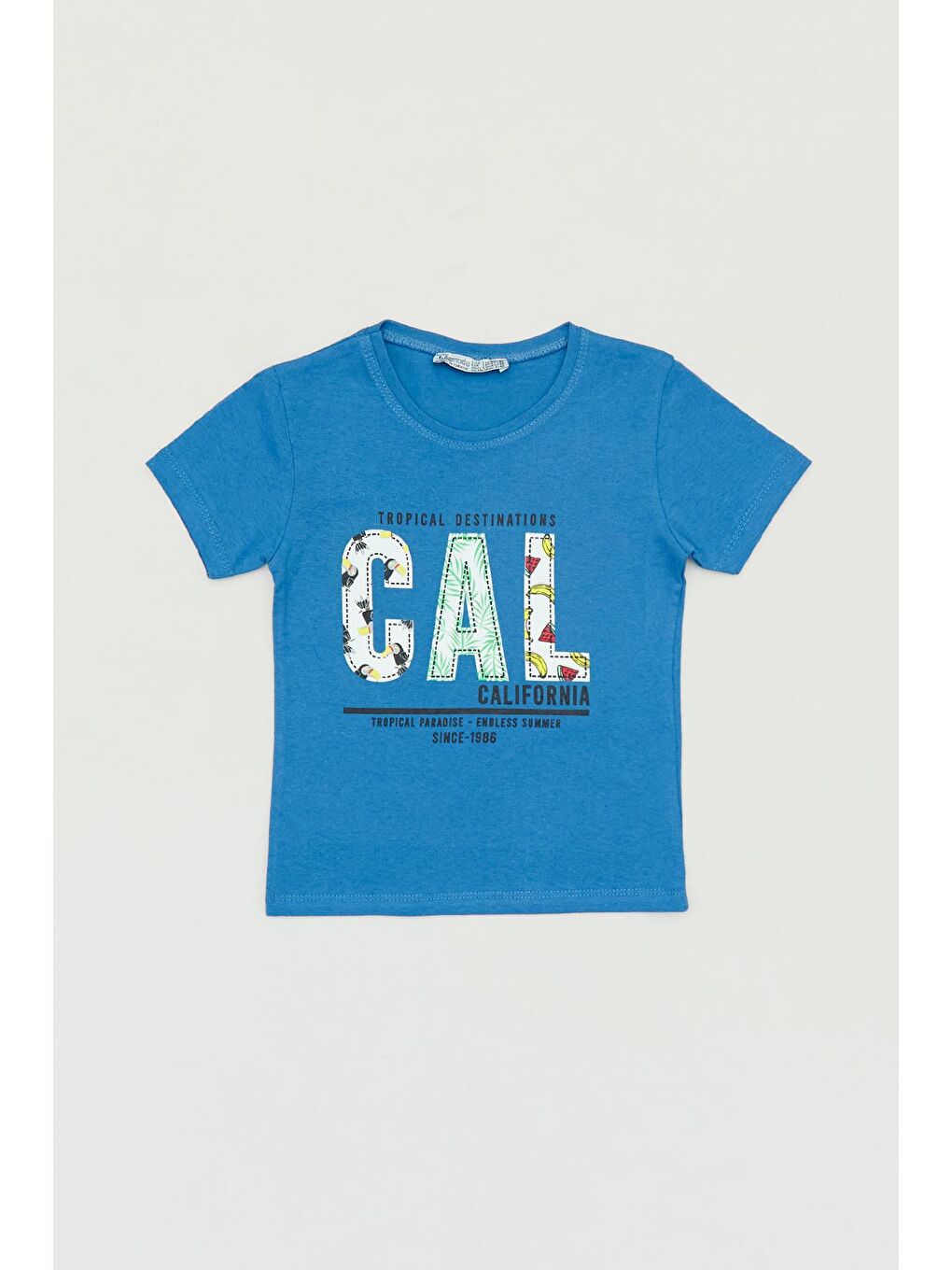 İndigo Cal Baskılı Bisiklet Yaka Erkek Çocuk Tişört