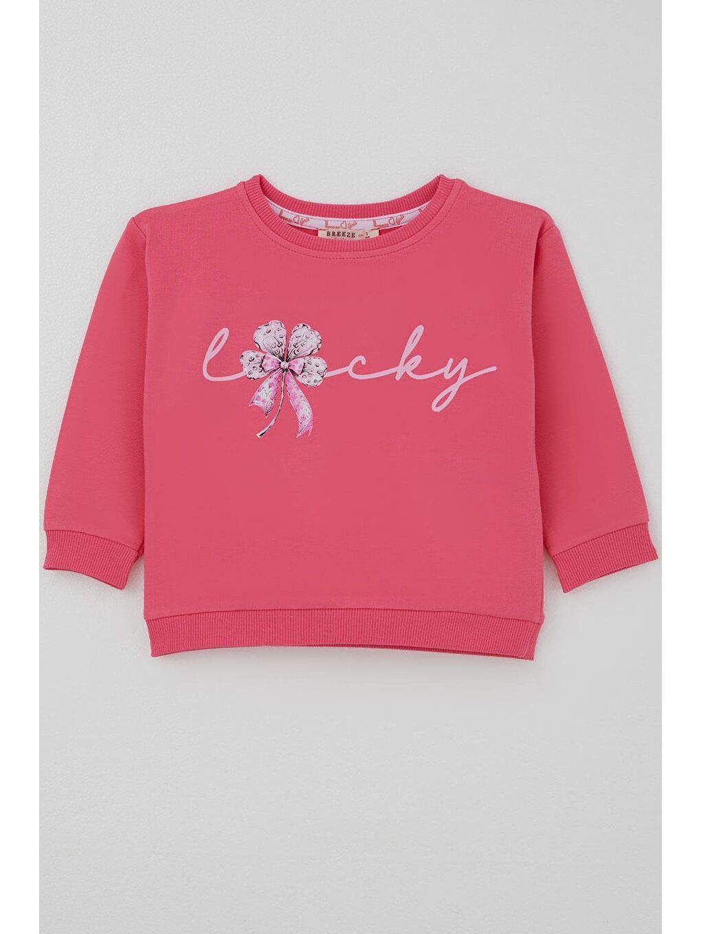 Kız Çocuk Sweatshirt Fiyonklu Çiçek Baskılı Pembe (2-4 Yaş)-4