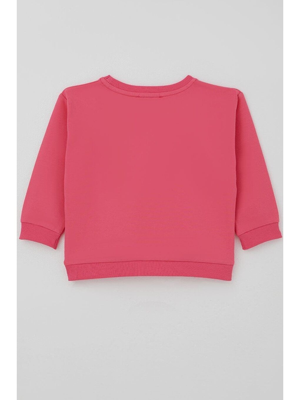 Kız Çocuk Sweatshirt Fiyonklu Çiçek Baskılı Pembe (2-4 Yaş)-5