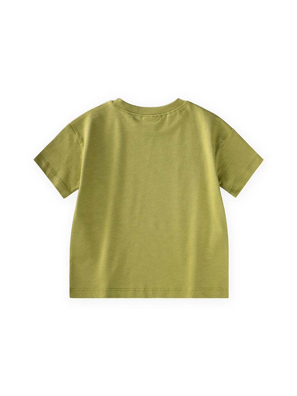 Yeşil Slogan Baskılı T-Shirt 2-10 Yaş Lime-1