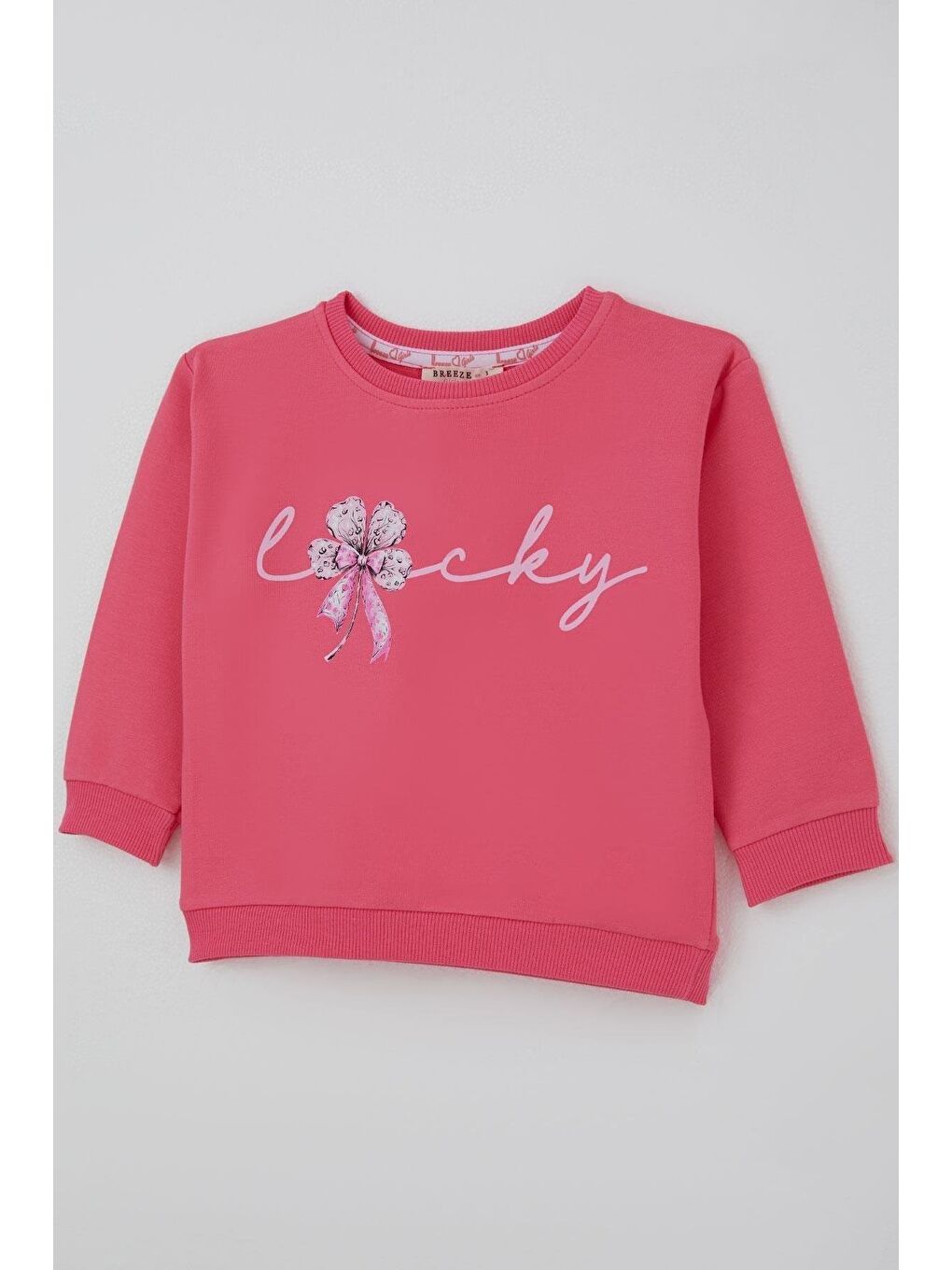 Kız Çocuk Sweatshirt Fiyonklu Çiçek Baskılı Pembe (2-4 Yaş)-6