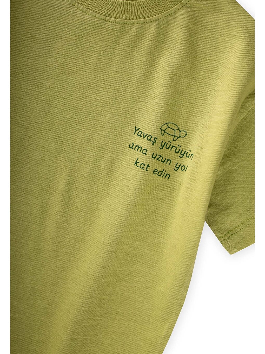 Yeşil Slogan Baskılı T-Shirt 2-10 Yaş Lime-2