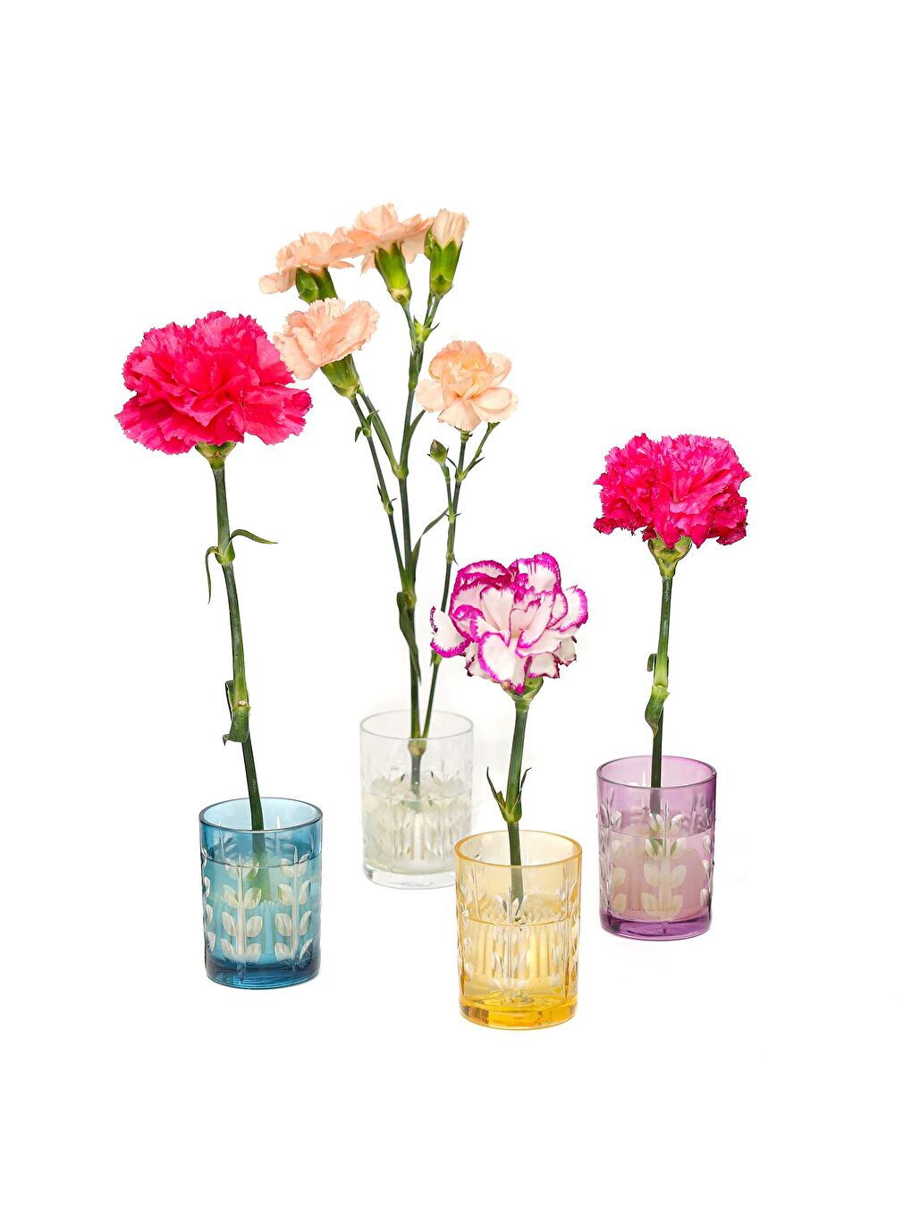 Renksiz Flora Design- Minimal Şeffaf Yaprak Kesme Cam Vazo-1