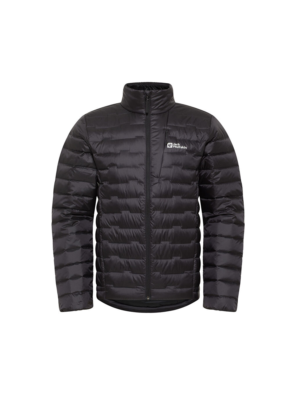 Karışık Passamani Down Erkek Gri Outdoor Şişme Mont