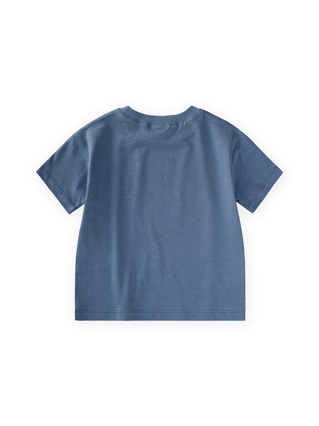 Slogan Baskılı T-Shirt 2-10 Yaş İndigo Mavi-1