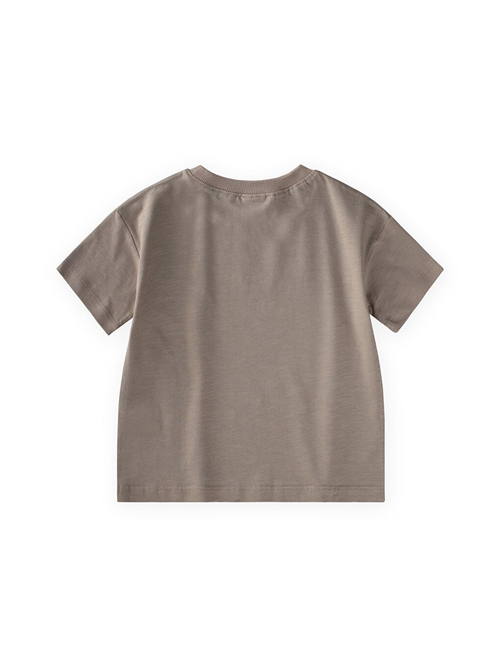 Bej Slogan Baskılı T-Shirt 2-10 Yaş S Vizon-1